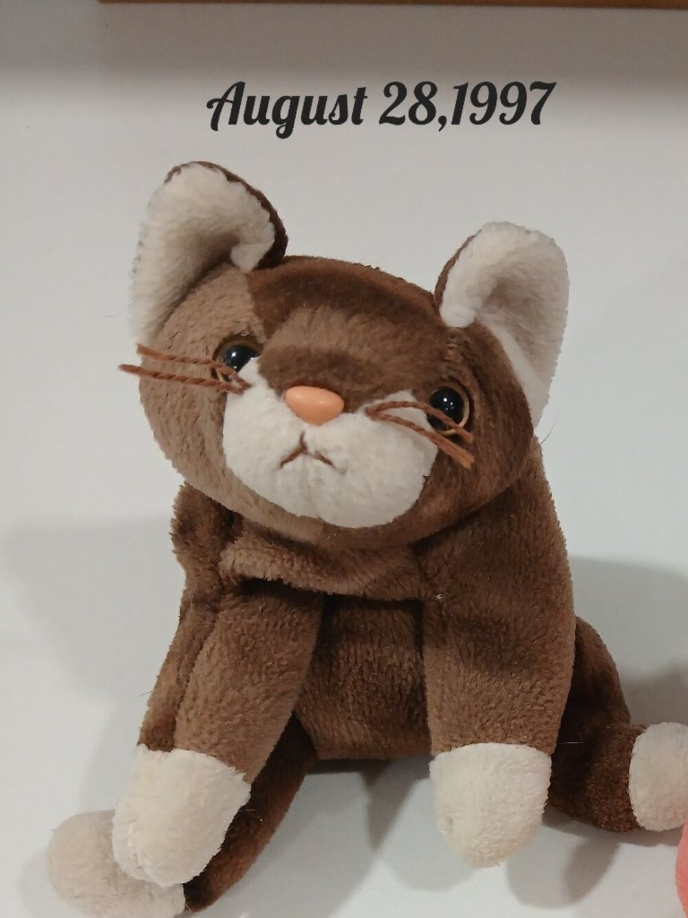 Ty Pounce Beany Baby, No Birth Tag Like New, Will Include Birth and Poem
